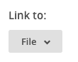 MailChimp Link to File