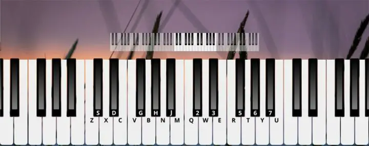 Piano Plays | Features White Keys & Black Keys