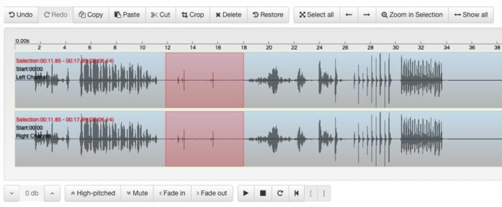 Bear Record Voice Recorder & Audio Editor