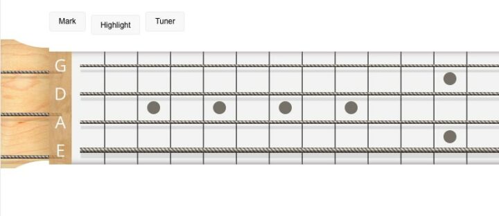Musicca Bass Guitar | Virtual Musical Instruments