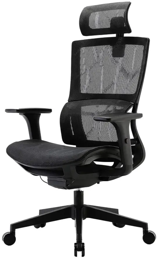 XUER Ergonomic Office Chair