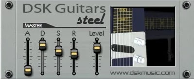 DSK Guitars Steel