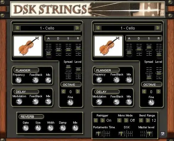 DSK Strings