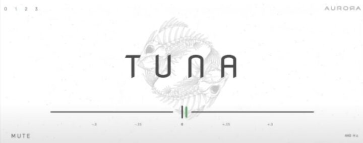 Tuna - Guitar Tuner Plugin