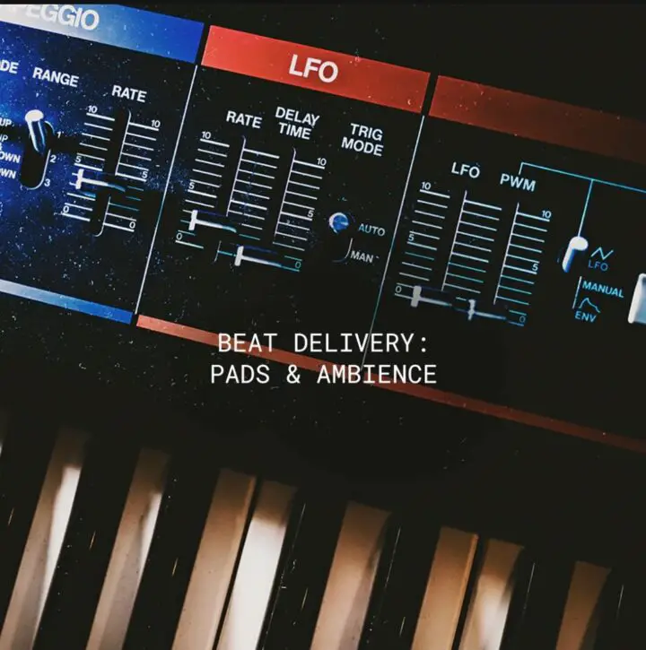 Beat Delivery   FREE Pad Samples