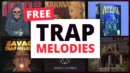Free Trap Melodies Trap Melody Sample Packs Trap Melody Loops