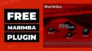 Free Marimbaphonic VST Plugin By Alan Vista