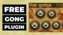 Free Thai Gongs VST Plugin By Alan Vista